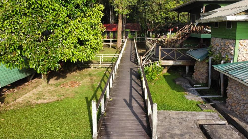 Sukau Greenview Bed & Breakfast Εξωτερικό φωτογραφία